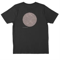 .DIPLORIA LABYRINTHIFORMIS X 17 .DIPLORIA LABYRINTHIFORMIS X -Everpress Shop 6531d120cfc115.44730096