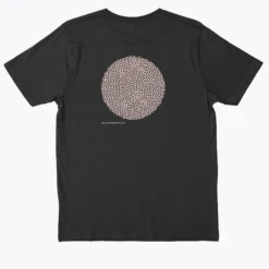 .DIPLORIA LABYRINTHIFORMIS X 18 .DIPLORIA LABYRINTHIFORMIS X -Everpress Shop 6531d12115f0a0.59618440