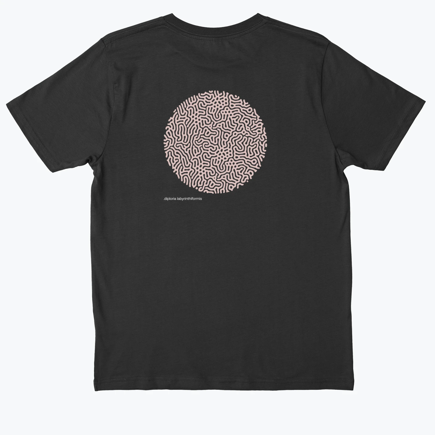 .DIPLORIA LABYRINTHIFORMIS X 6 .DIPLORIA LABYRINTHIFORMIS X - Image 4