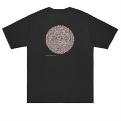 .DIPLORIA LABYRINTHIFORMIS X 25 .DIPLORIA LABYRINTHIFORMIS X -Everpress Shop 6531d1231b56b2.86405665