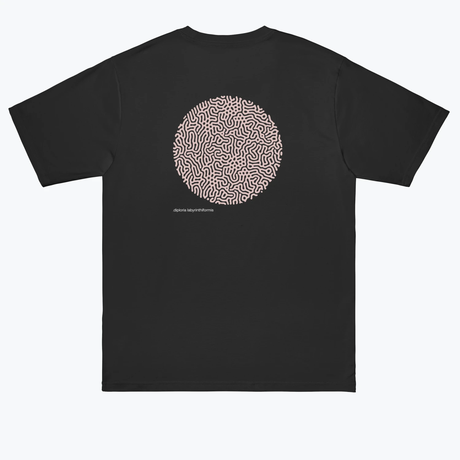 .DIPLORIA LABYRINTHIFORMIS X 14 .DIPLORIA LABYRINTHIFORMIS X - Image 12