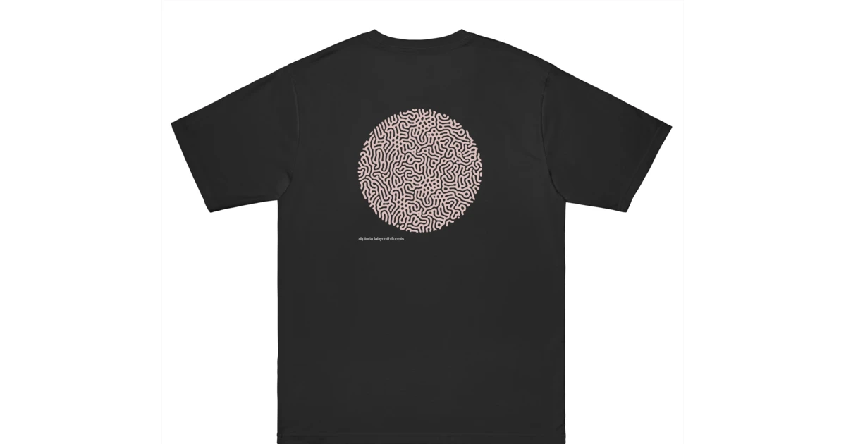 .DIPLORIA LABYRINTHIFORMIS X 15 .DIPLORIA LABYRINTHIFORMIS X - Image 13