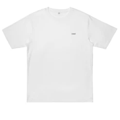 .diploria Labyrinthiformis