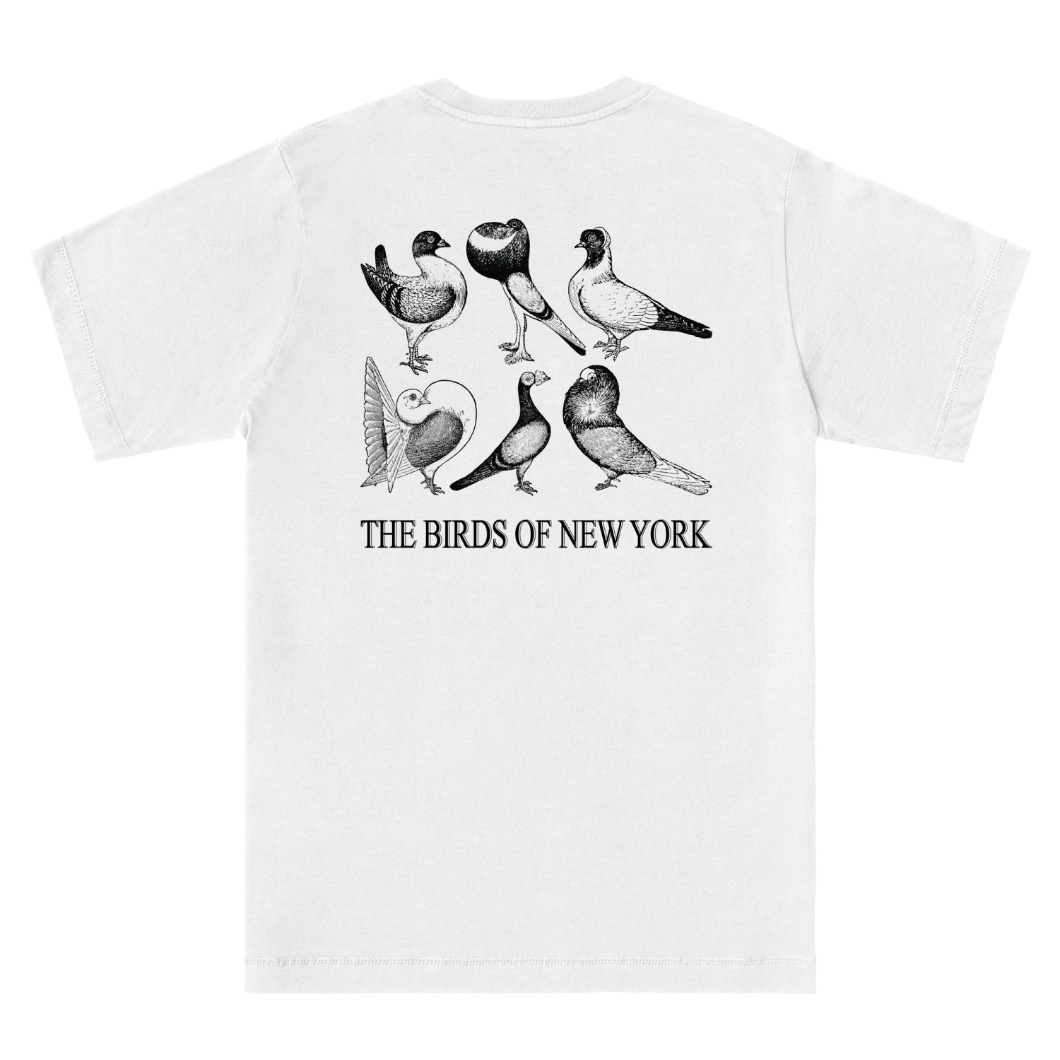 BIRDS OF NEW YORK 3 BIRDS OF NEW YORK