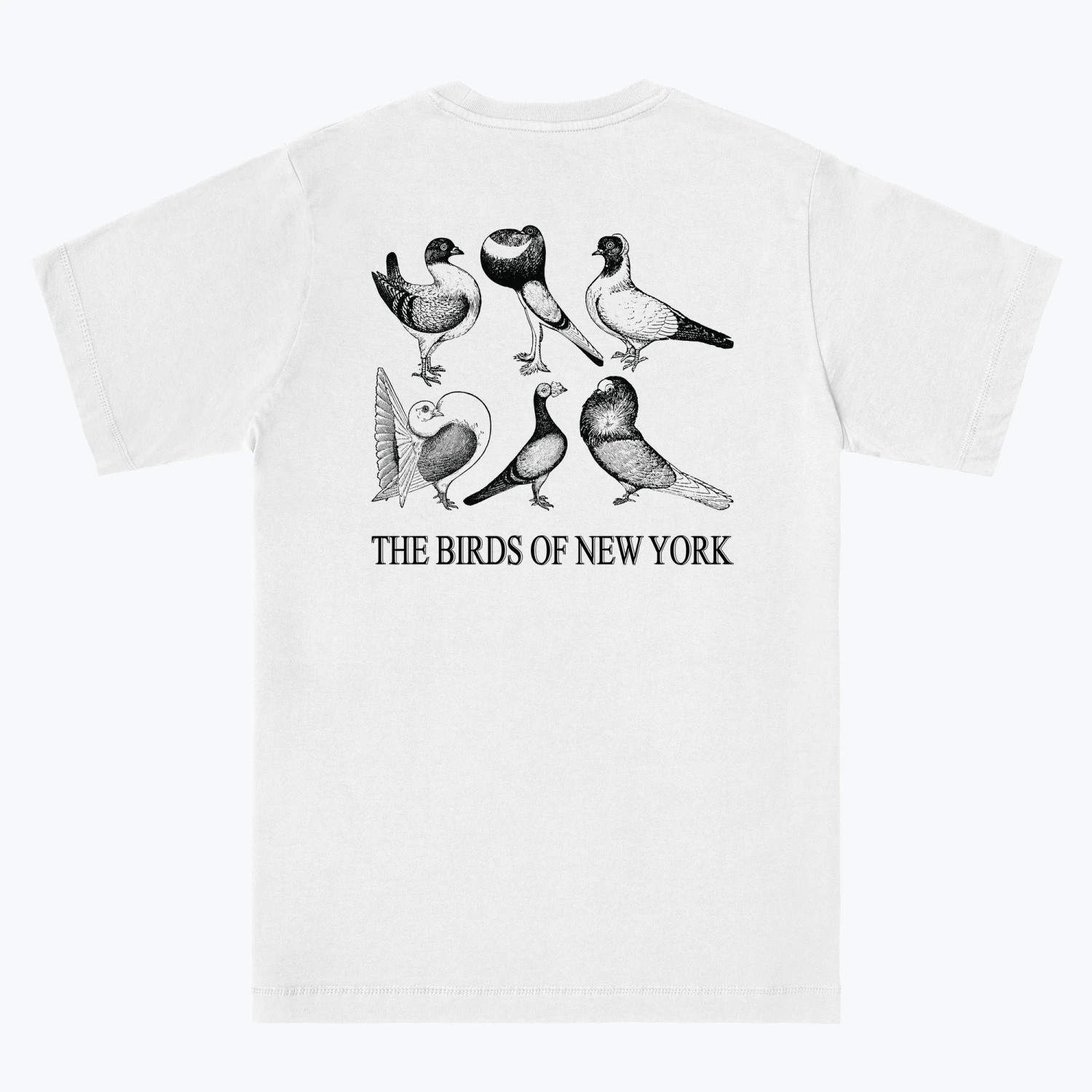 BIRDS OF NEW YORK 4 BIRDS OF NEW YORK - Image 2