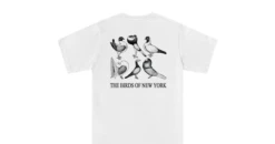 BIRDS OF NEW YORK 11 BIRDS OF NEW YORK -Everpress Shop 654597df0ba523.37695340