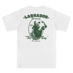 LABRADOR RETRIEVER