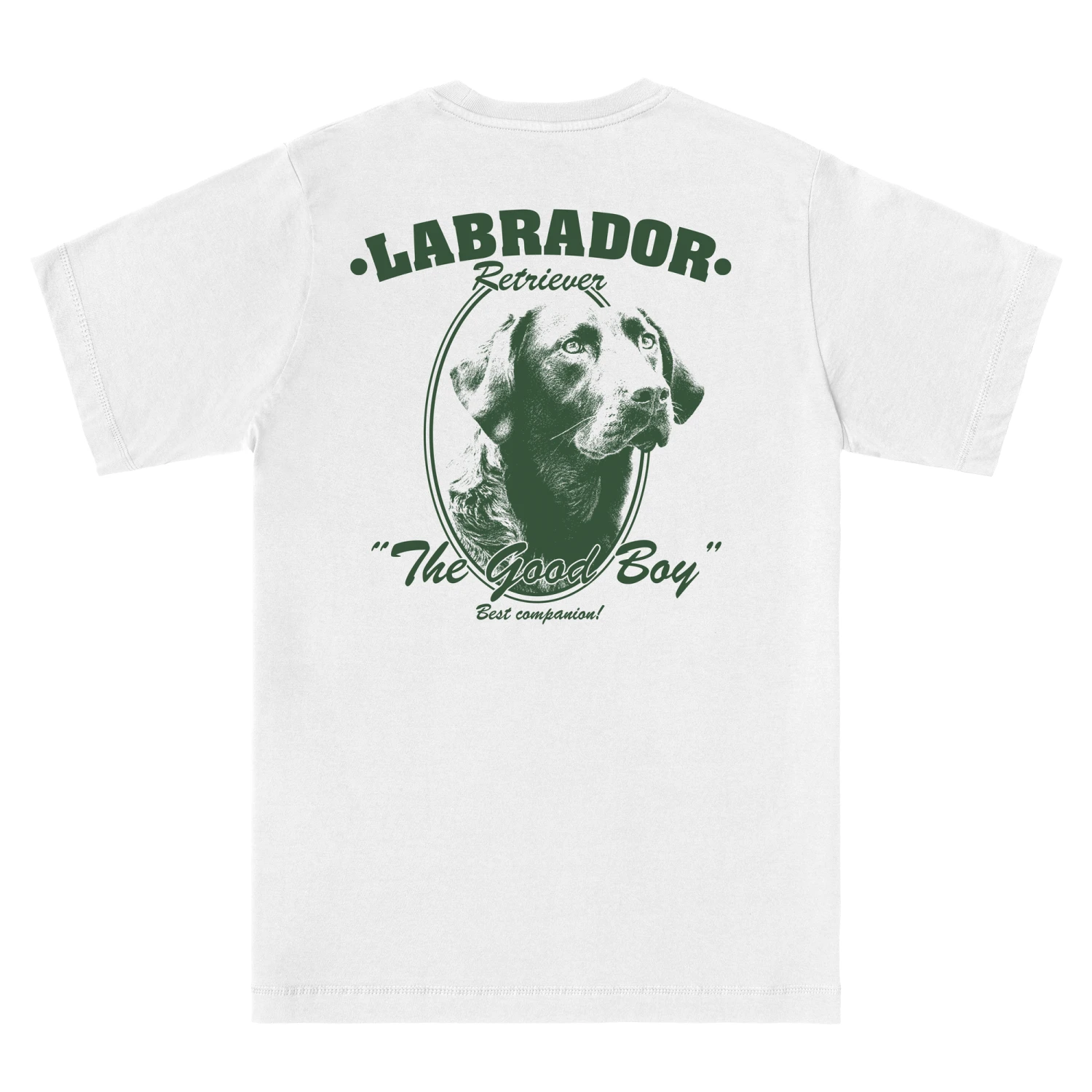 LABRADOR RETRIEVER 3 LABRADOR RETRIEVER